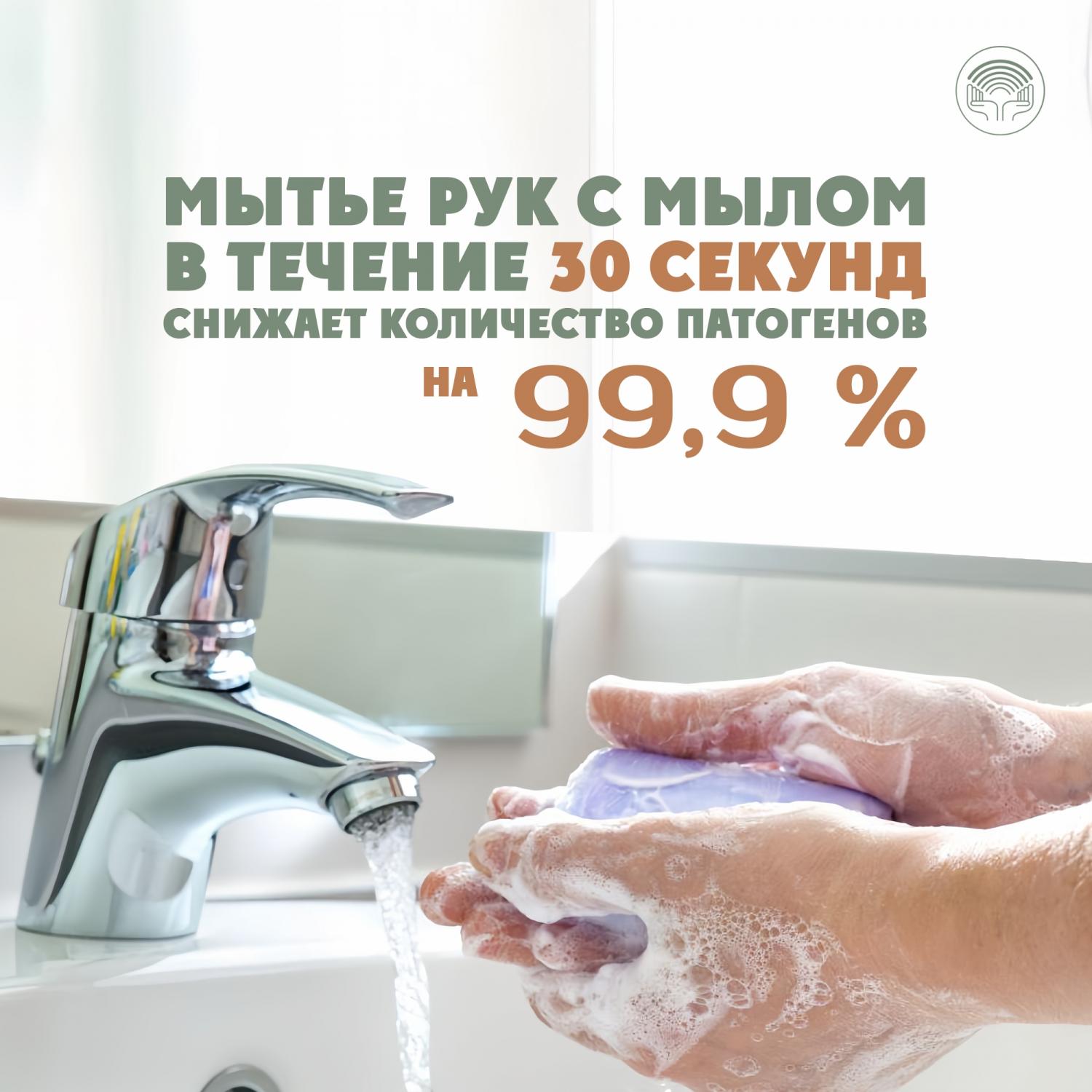 Что будет, если не мыть руки после улицы? Что будет, если не мыть руки после улицы?