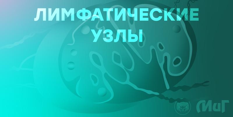 Лимфатические узлы. Когда нужно беспокоиться?