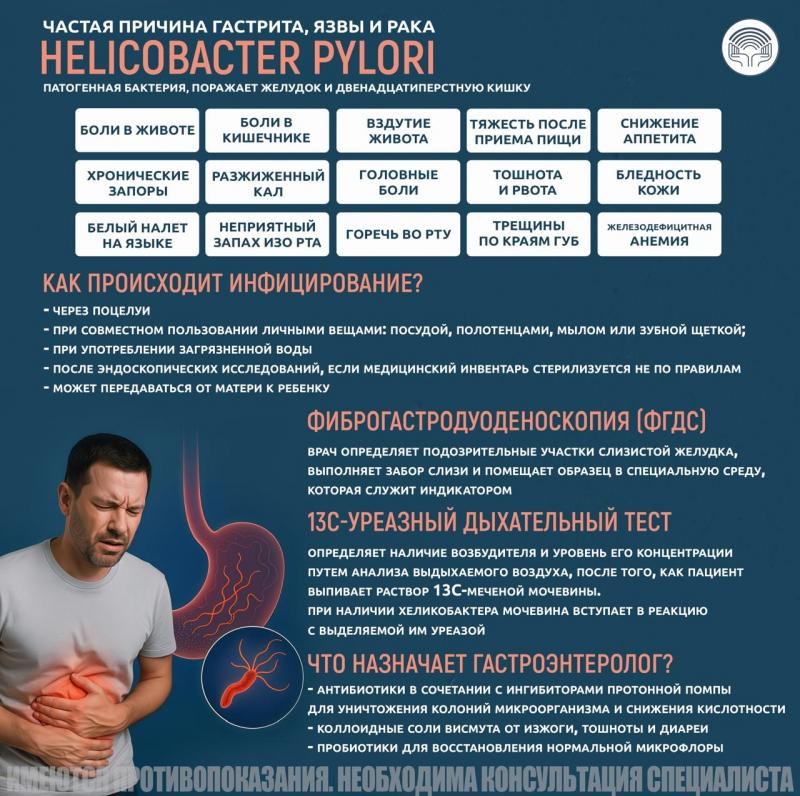 Частая причина гастрита, язвы и рака - Helicobacter pylori