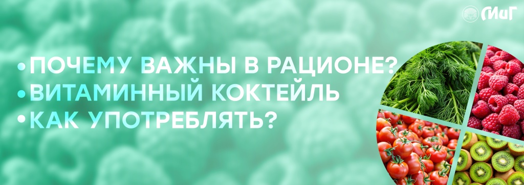 Сезфр2.jpg