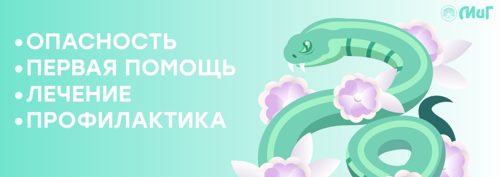 Укусы змей2.jpg Укусы змей2.jpg