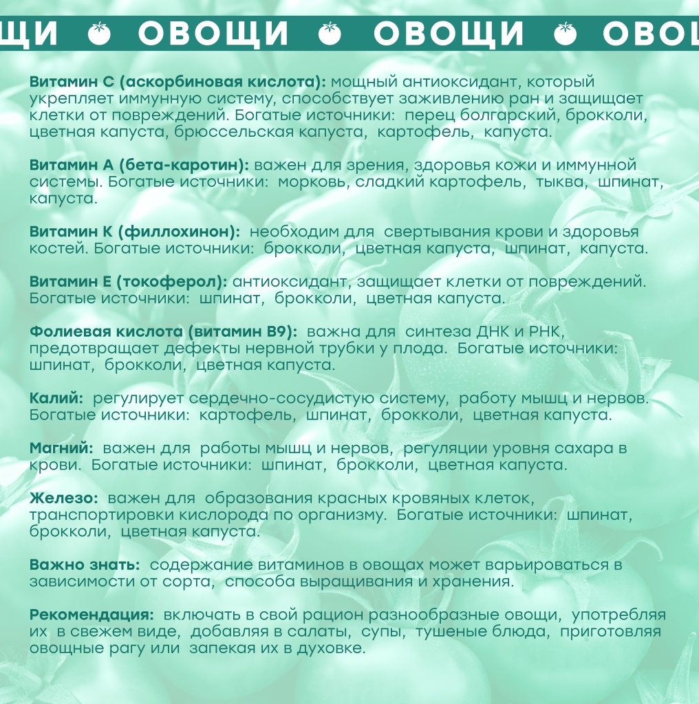 Сезфр3-3.jpg