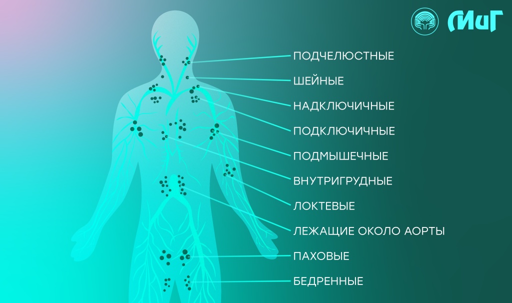 Лимф.узлы.jpg Лимф.узлы.jpg