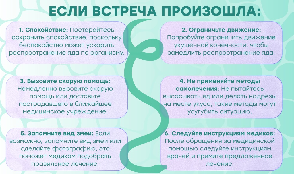 Укусы змей3.jpg Укусы змей3.jpg